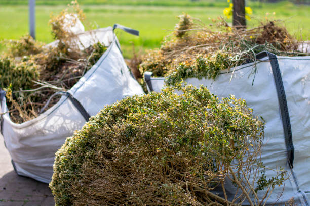 Recycling Services for Junk in Avra Valley, AZ